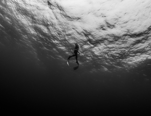 It is getting dark for the oceans